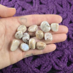 12 Belomorite Tumbled Polished Chips Small Tumble Pieces Crystal White Stones Crystals Russian Moonstone Blue Flash