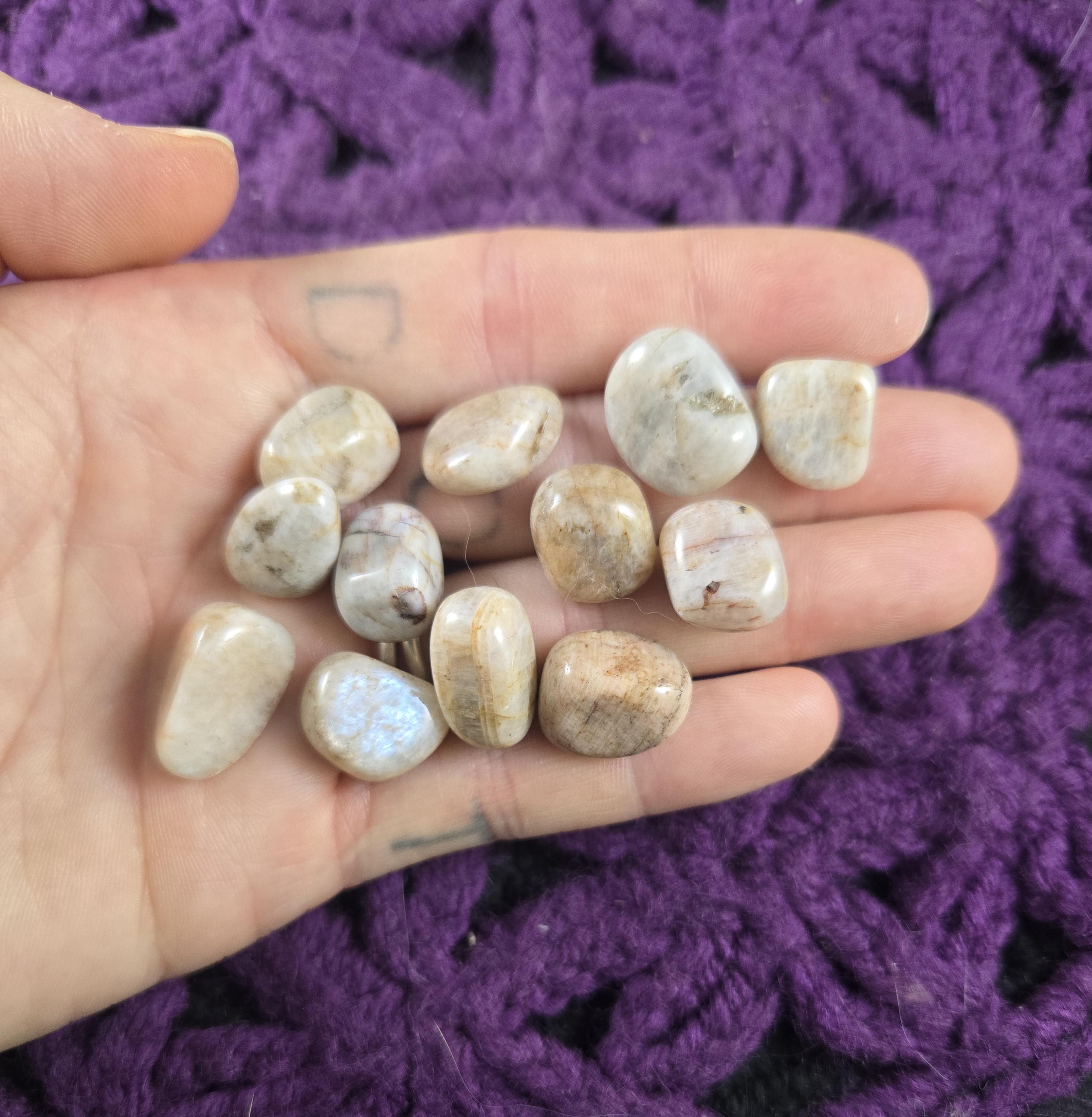 12 Belomorite Tumbled Polished Chips Small Tumble Pieces Crystal White Stones Crystals Russian Moonstone Blue Flash