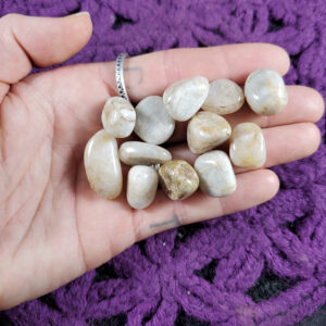12 Belomorite Tumbled Polished Chips Small Tumble Pieces Crystal White Stones Crystals Russian Moonstone Blue Flash