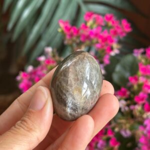 Black Moonstone Palmstone, Black Moonstone, Protection Stone, Healing Stone, Moonstone Pebble, Tumbled , Pregancy Crystal