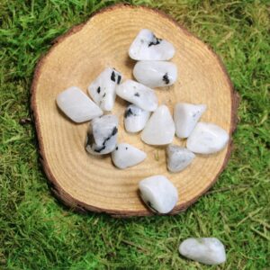 Blue Flash Moonstone Medium Tumbled