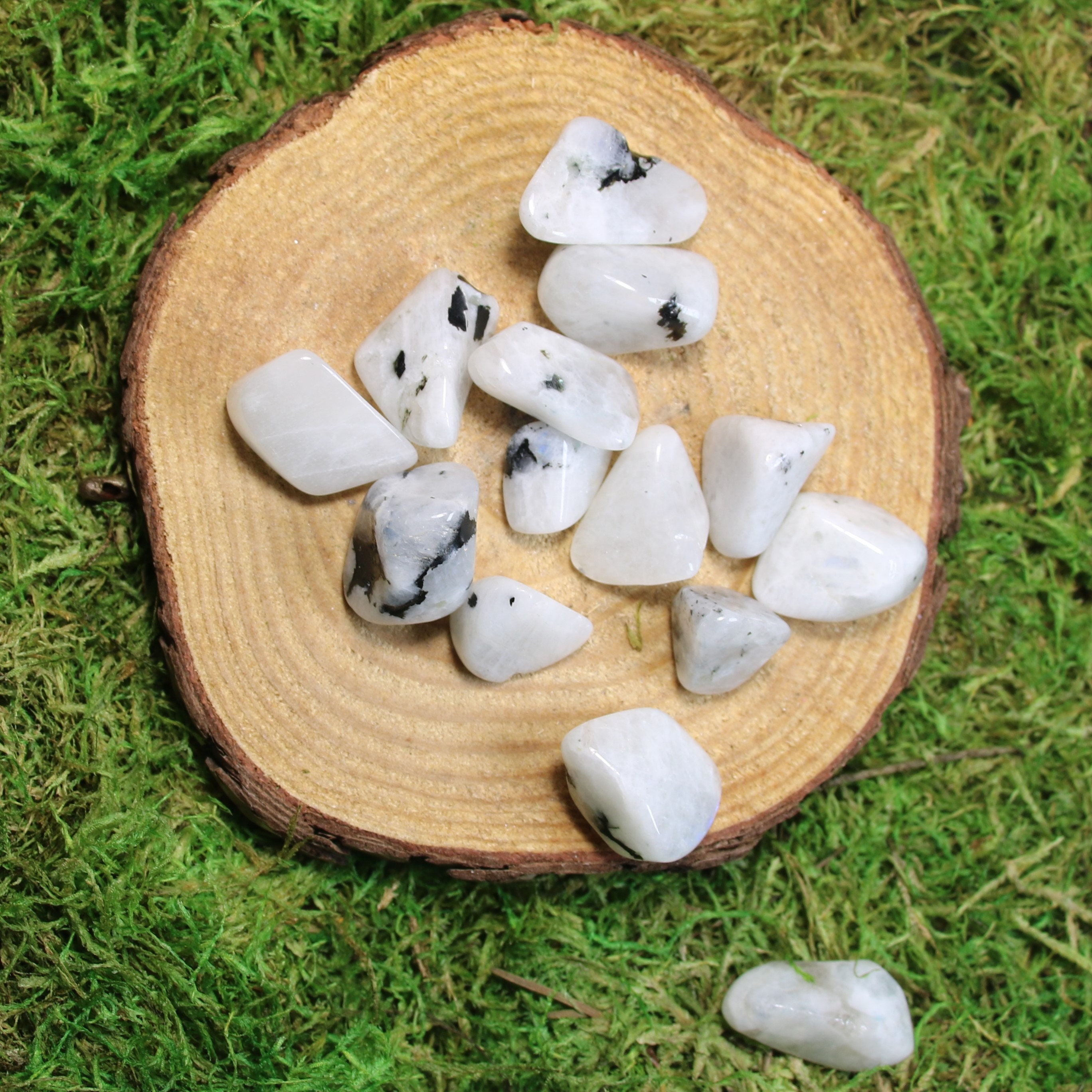 Blue Flash Moonstone Medium Tumbled Blue Flash Moonstone Medium Tumbled