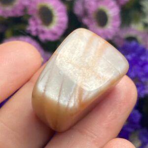 Chocolate Moonstone Tumbled Crystal: Polished Moonstone