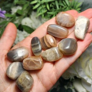 Moonstone Crystal - Tumbled Moonstone - Black Moonstone - Moonstone Tumble - Moonstone Stone - Polished Moonstone - Natural Moonstone