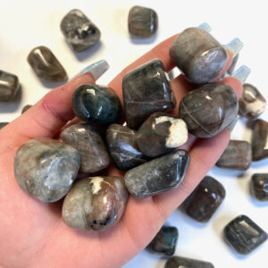 Polarity Moonstone Tumble, Tumbled Polarity Moonstone, Polished Polarity Moonstone, T-164