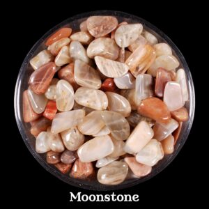 Set Of 10 Moonstone Tumbled Stones, New Beginnings And Intuition, Sacral Chakra Healing Crystal, Gift For Cancer Libra Bulk White Gemstone