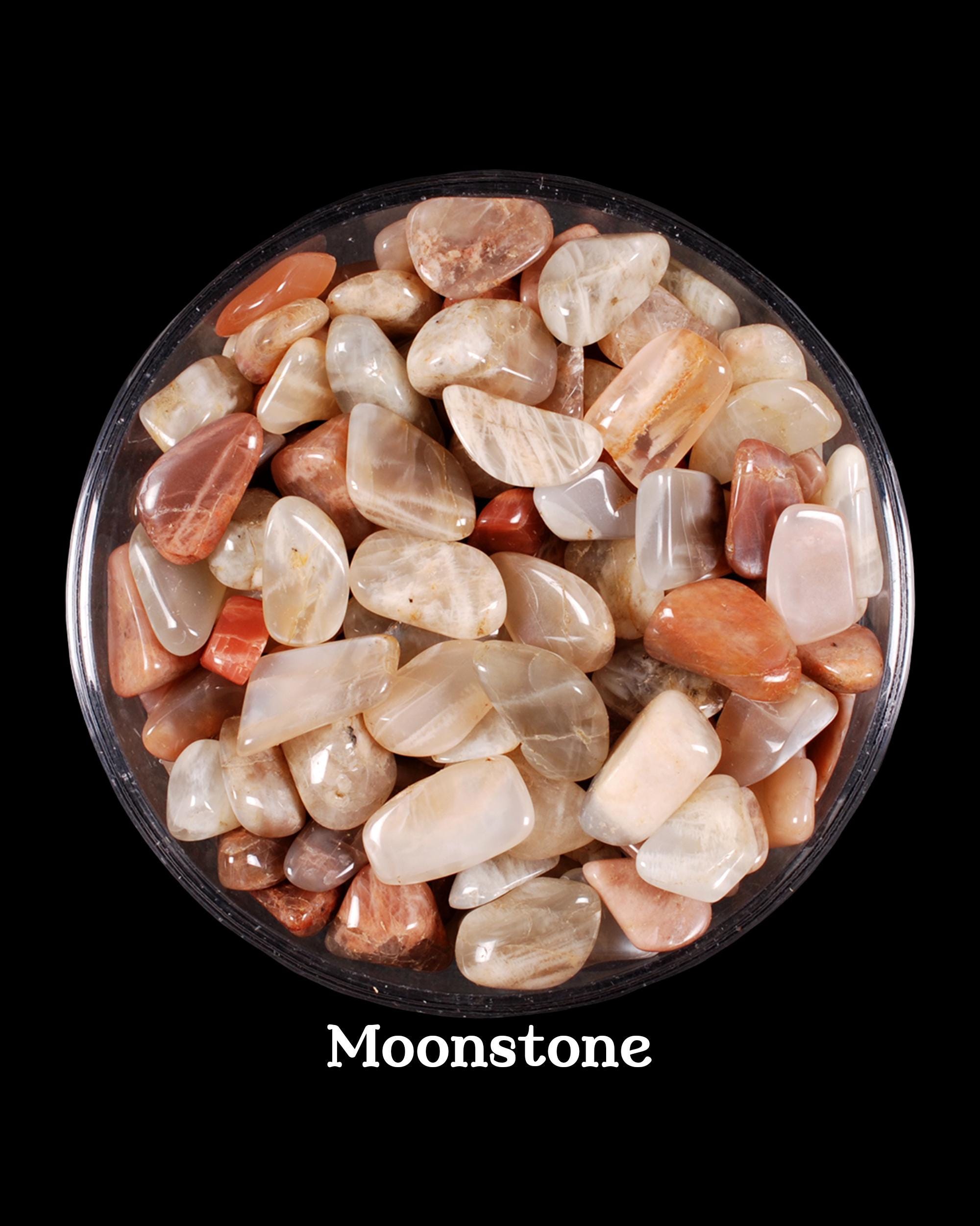 Set Of 10 Moonstone Tumbled Stones, New Beginnings And Intuition, Sacral Chakra Healing Crystal, Gift For Cancer Libra Bulk White Gemstone