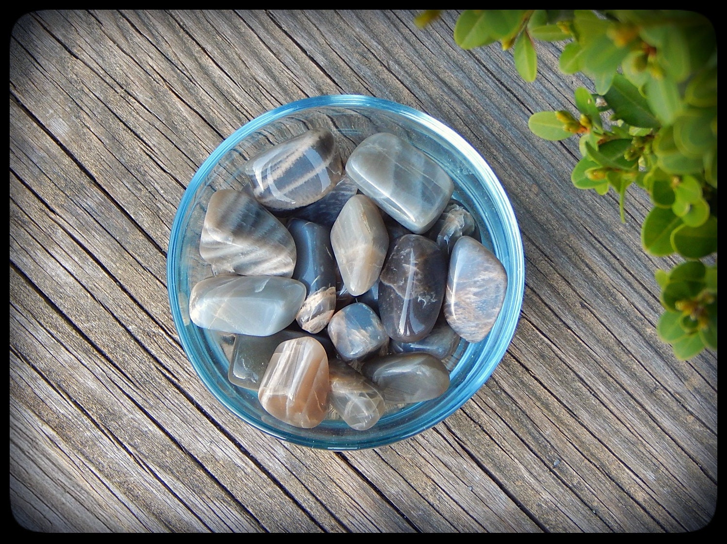 Tumbled Silver / Black Moonstone