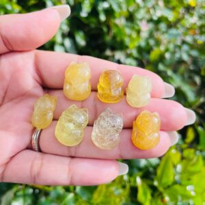 Yellow Morganite Fox Carving: Polished Crystal Gemstone (15-19mm)