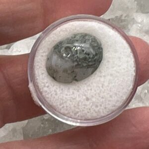 Moss Agate Cabochon  9.50CT