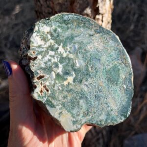 Large Moss Agate Rough and Polished Lapidary Nodule natural stone