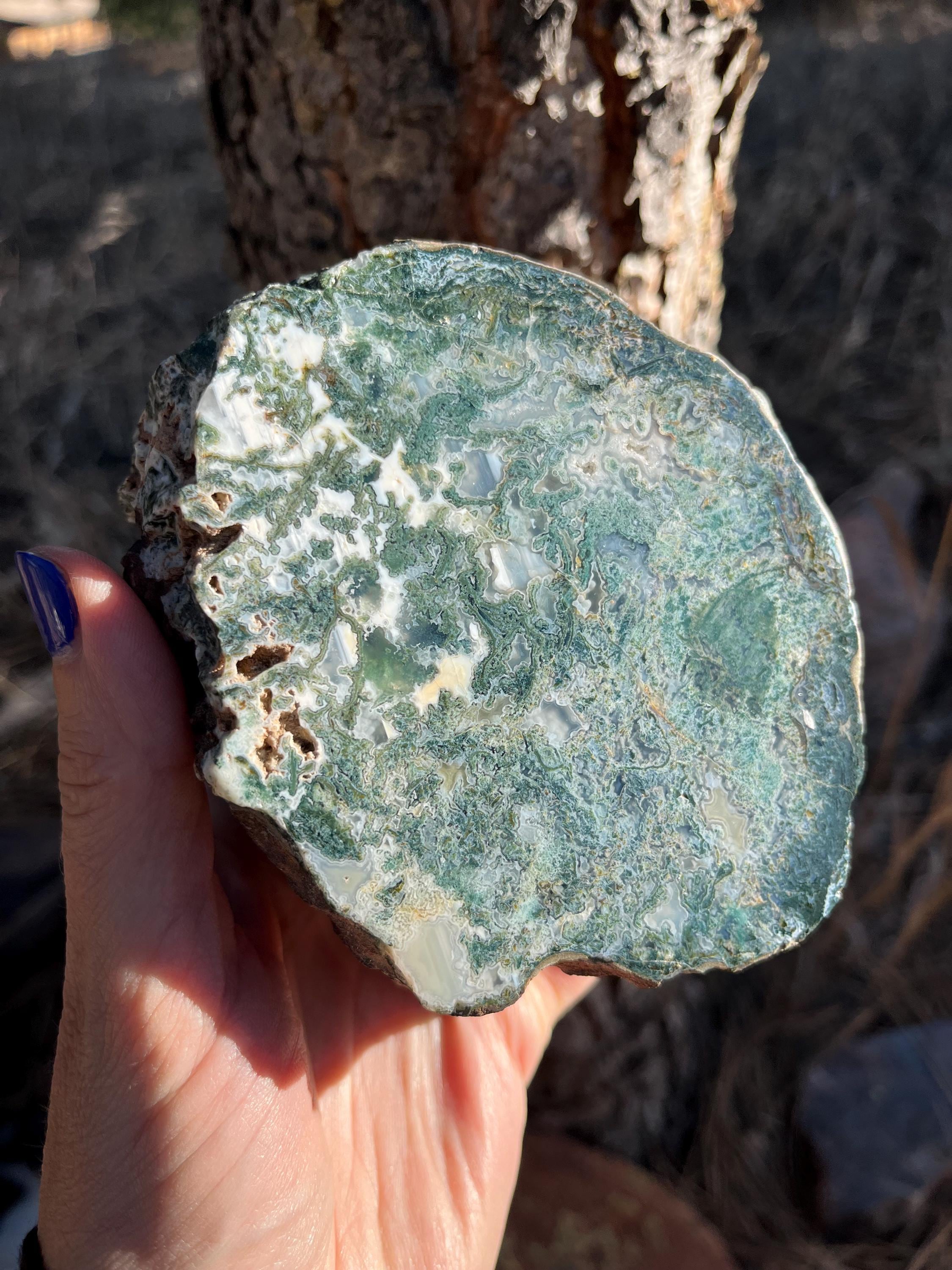 Large Moss Agate Rough And Polished Lapidary Nodule Natural Stone