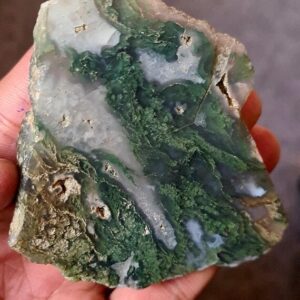 Natural Moss Agate Slice: Raw Gemstone Plate (7x6.5 Cm)