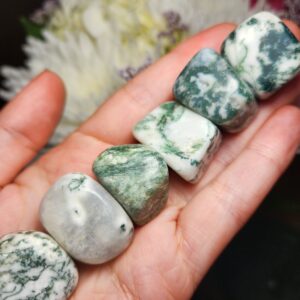 Moss Agate Crystal - Tumbled Moss Agate - Polished Moss Agate Stone - Mocha Stone - Moss Agate Stone - Natural Moss Agate - Tumbled Stones