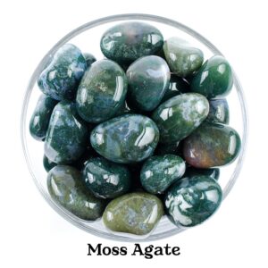 Moss Agate Tumbled Stone, Abundance And Growth, Heart Chakra Ritual Gem