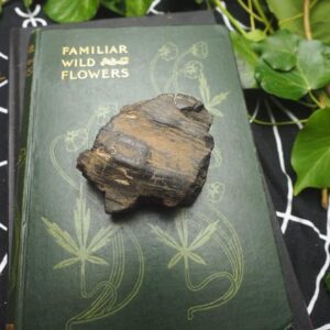 Natural Raw, Real Whitby Jet For Witchcraft and Pagans (Lignite)