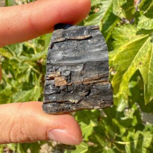 Natural Rough Jet Stone / Raw Gagat Petrified Wood / Black Amber / Purification / Protection / Decompression