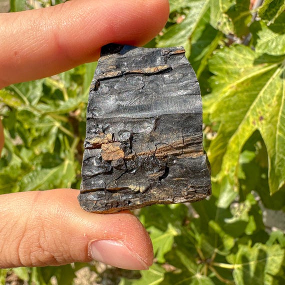 Natural Rough Jet Stone / Raw Gagat Petrified Wood / Black Amber / Purification / Protection / Decompression