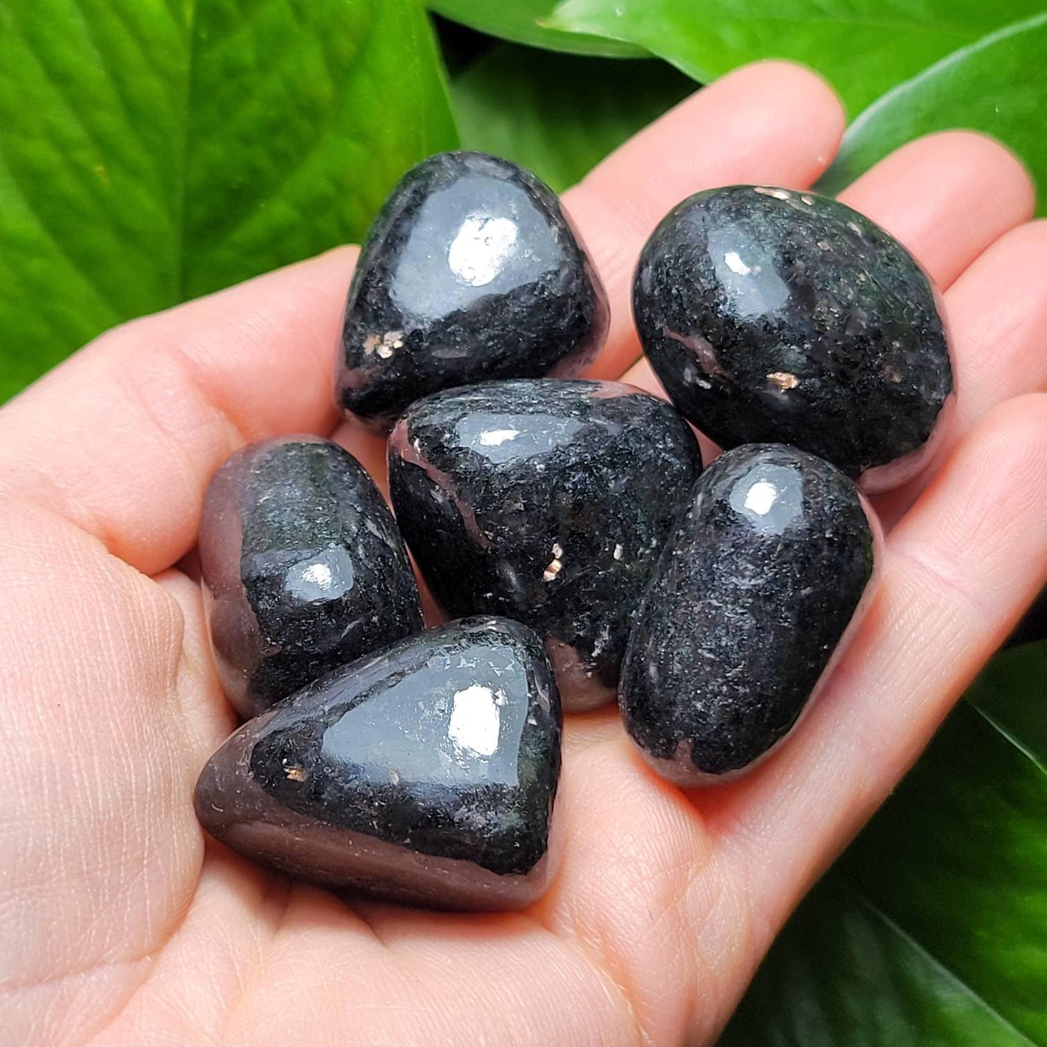 Nuummite Crystal: Tumbled Coppernite Specimen From India