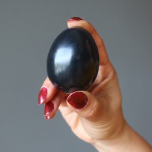 Black Obsidian Egg Protective Stone