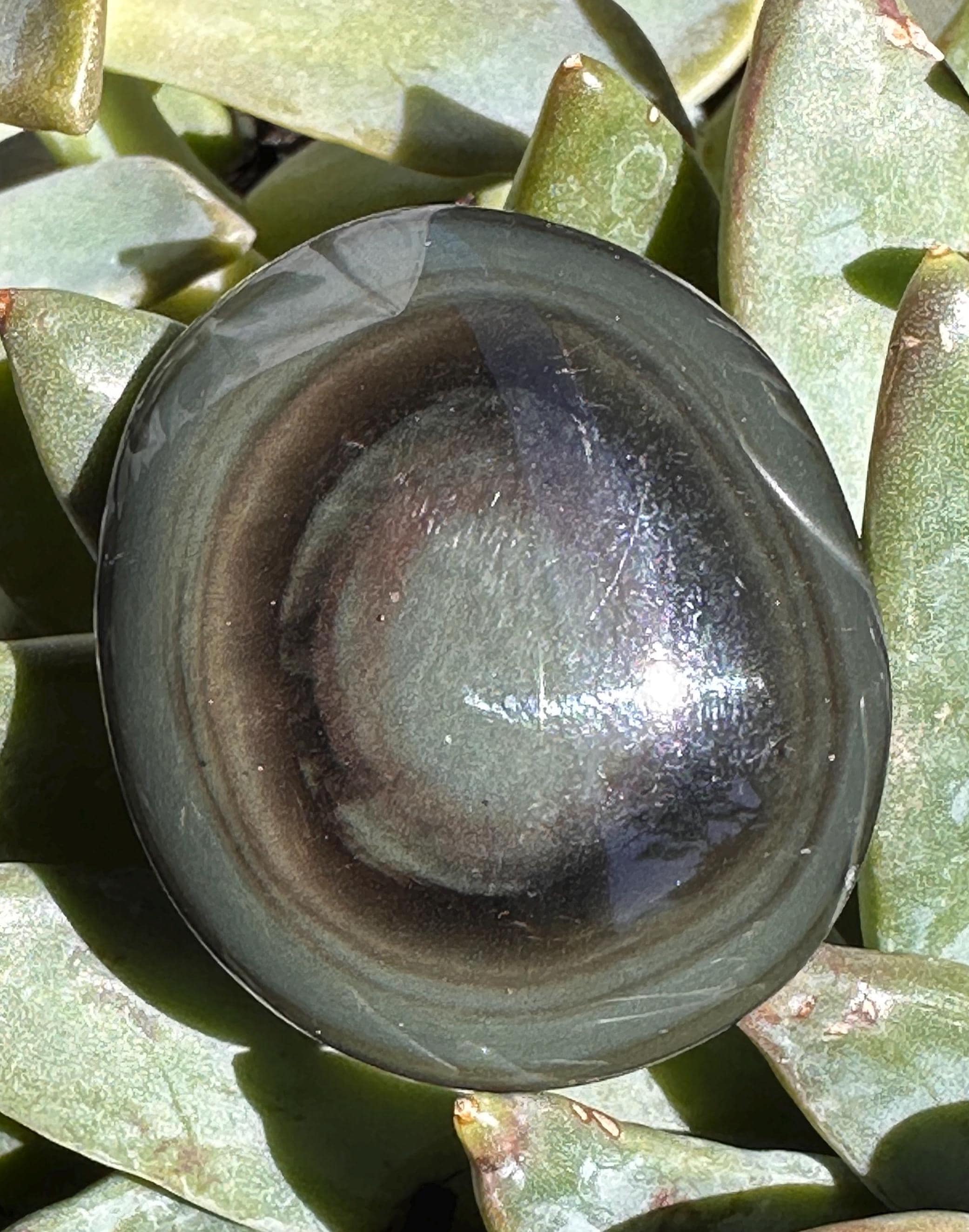 Velvet Obsidian Small Palmstone From Mexico Velvet Obsidian Small Palmstone From Mexico
