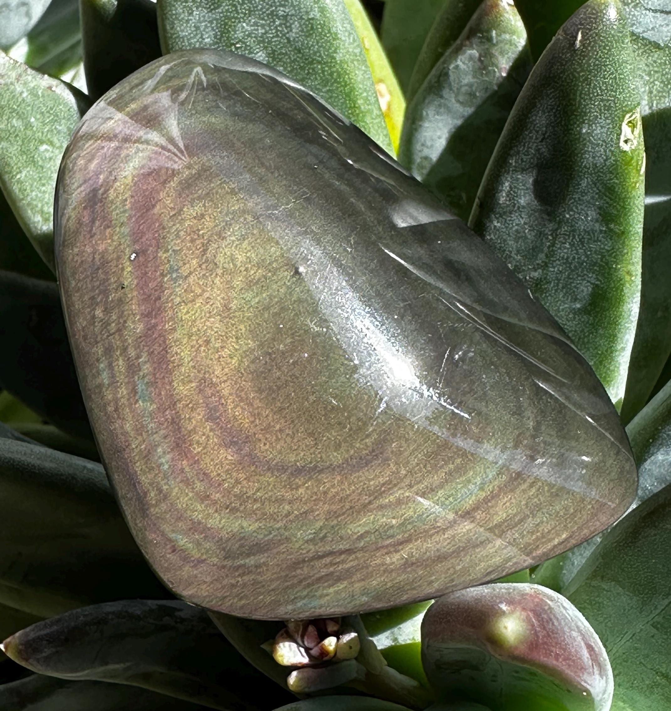 Velvet Obsidian Small Palmstone From Mexico