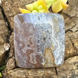 Mystical Ocean Jasper Cabochon Stone From Madagascar