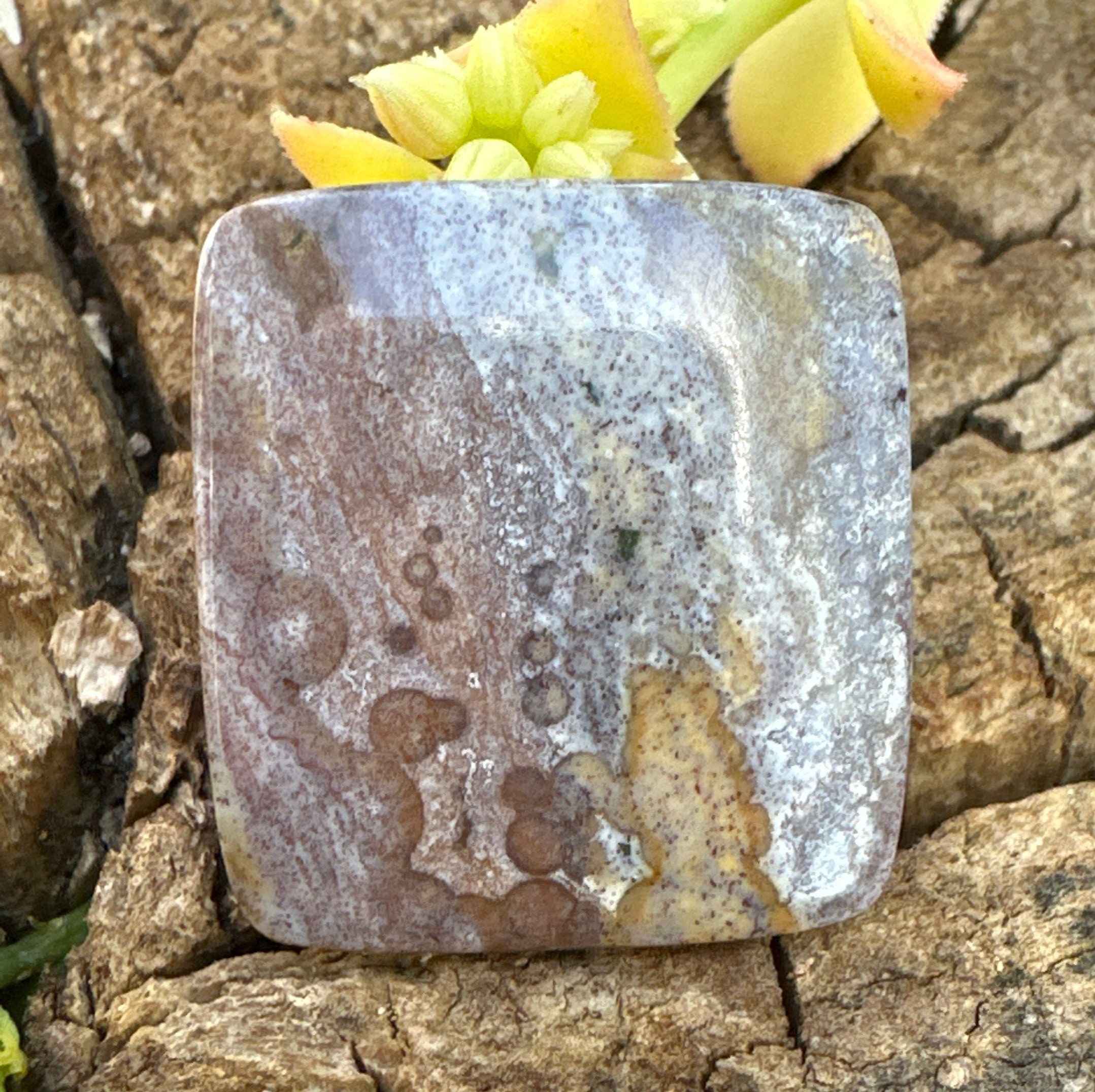 Mystical Ocean Jasper Cabochon Stone From Madagascar