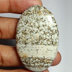 Ocean Jasper Cabochon: Natural Gemstone For Jewelry Making (94cts, 48x31mm)