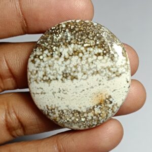 Ocean Jasper Cabochon: Natural Gemstone For Jewelry Making (36x36mm, 76cts)