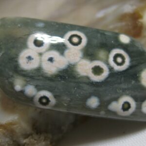 ON SALE: Ocean Jasper Cabochon with High Contrast Orbs (Eyes)