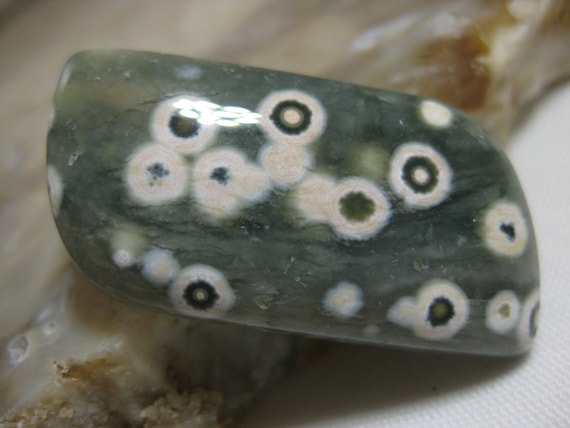 On Sale: Ocean Jasper Cabochon With High Contrast Orbs (eyes)