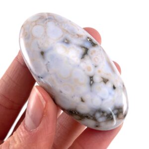Orbicular Ocean Jasper Cabochon | Crystal Gemstone (58 X 31 Mm)