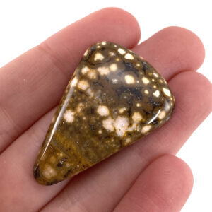 Orbicular Ocean Jasper Cabochon | Gemstone Crystal (36 X 25 Mm)