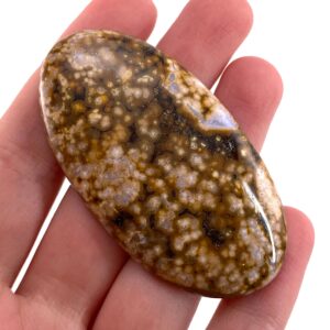 Ocean Jasper Cabochon | Orbicular Gemstone (60 X 33 Mm)