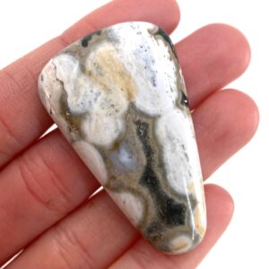 Orbicular Ocean Jasper Cabochon | Natural Gemstone (48 X 29 Mm)