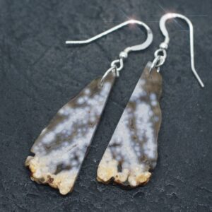 Ocean Life - Madagascar Ocean Jasper Sterling Silver Earrings