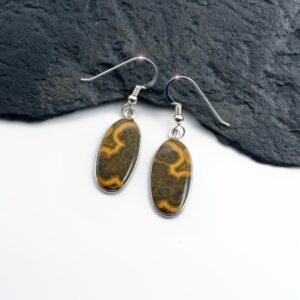 Ocean Life - Madagascar Ocean Jasper Sterling Silver Earrings