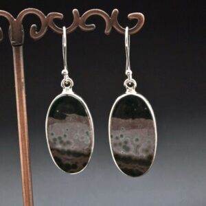 Sterling Silver Ocean Jasper Earrings