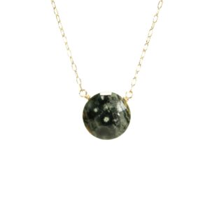 Ocean jasper necklace, natural earth tone stone, circle disc necklace, orbicular jasper on a dainty 14k gold filled chain