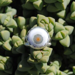 Size 7.25-7.5, Ocean Jasper Ring, Ocean Jasper Jewelry Size 7.25-7.5, Ocean Jasper Ring, Ocean Jasper Jewelry