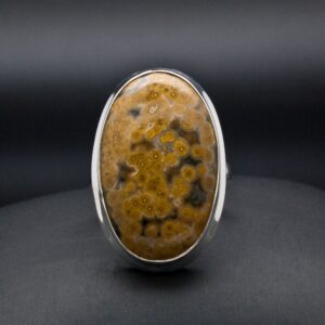 Sterling Silver Ocean Jasper Ring Size 6.5