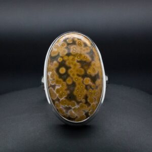 Sterling Silver Ocean Jasper Ring Size 8
