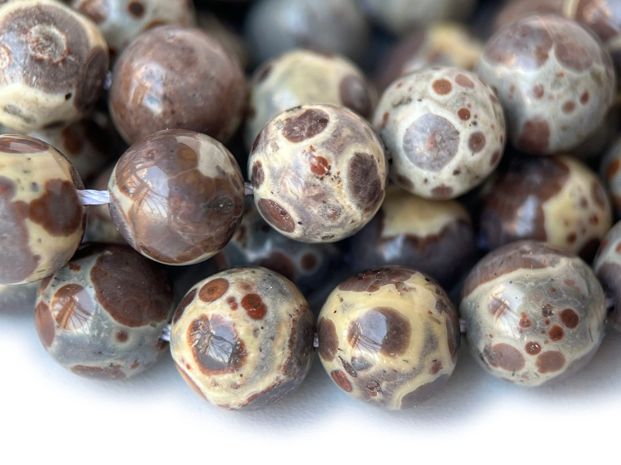 15.5" 8mm Natural Asteroid Jasper Round Beads Chocolate Ocean Jasper Beads Fglo