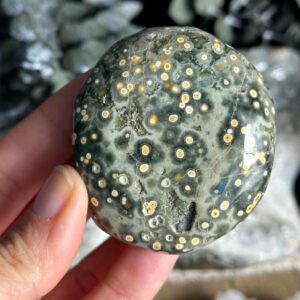 8th Vein Green Ocean Jasper Palmstone, Marovato, Jelly Oj