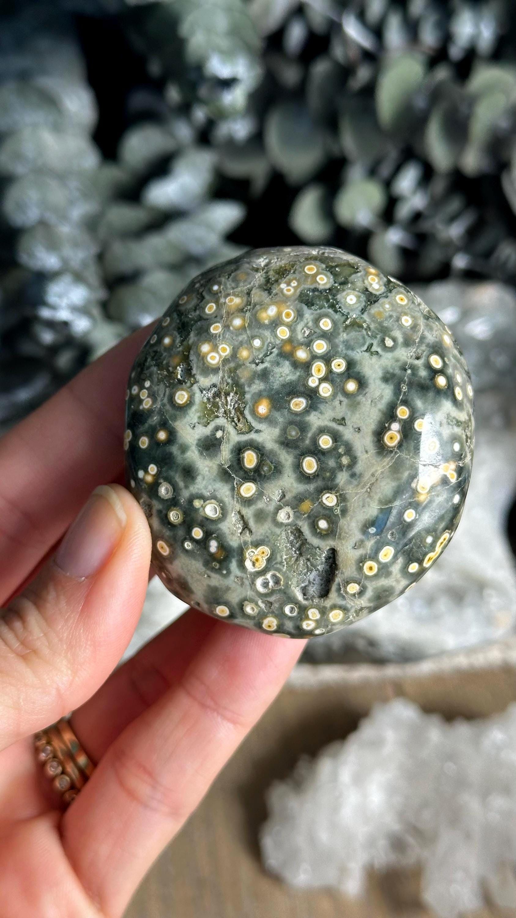 8th Vein Green Ocean Jasper Palmstone, Marovato, Jelly Oj
