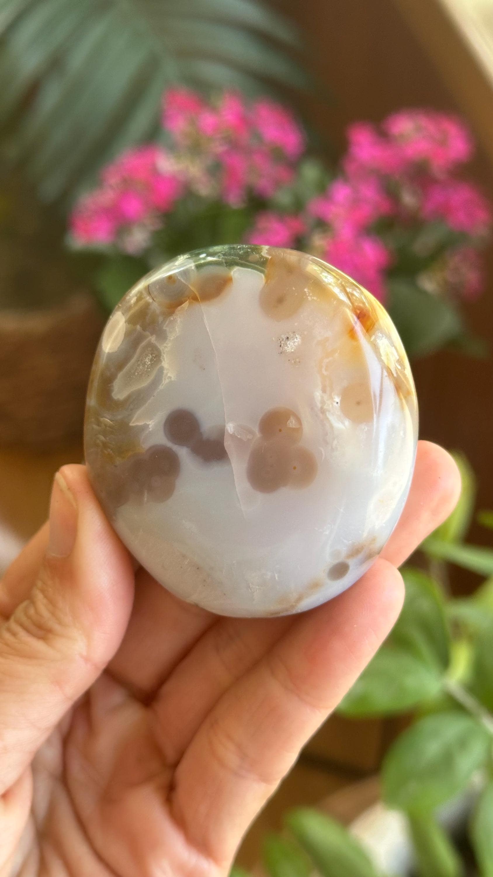 8th Vein Ocean Jasper Palmstone, Marovato, Jelly Oj