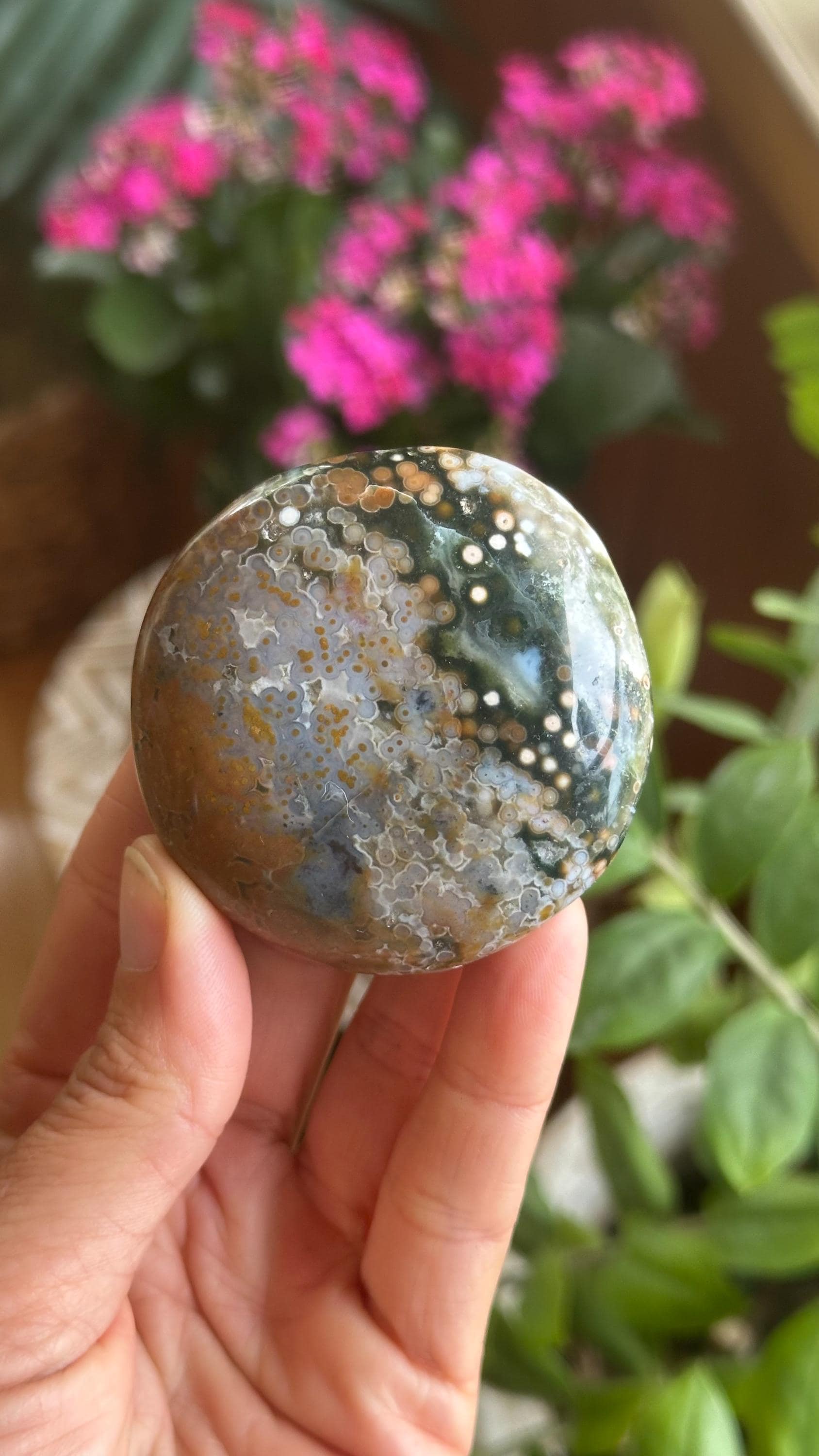 8th Vein Ocean Jasper Palmstone, Marovato, Jelly Oj