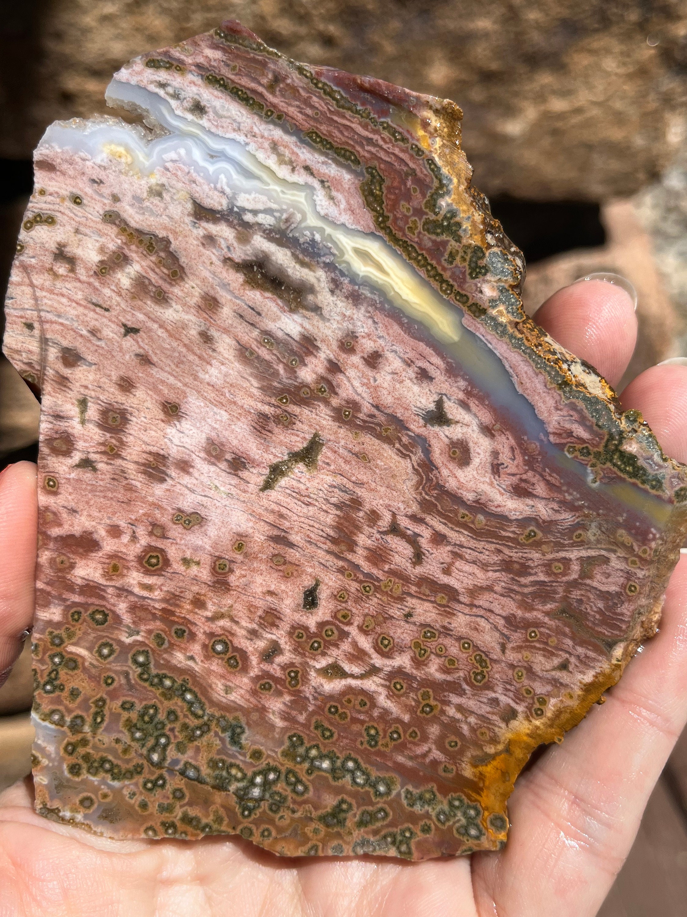 Ocean Jasper Lapidary Slab Natural Stone Not Polished For Cabbing Ocean Jasper Lapidary Slab Natural Stone Not Polished For Cabbing
