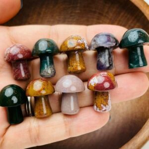 Ocean Jasper Mushroom: Mini Crystal Carving (18-25mm)